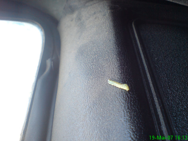 SatteTour07_Wiese_010
